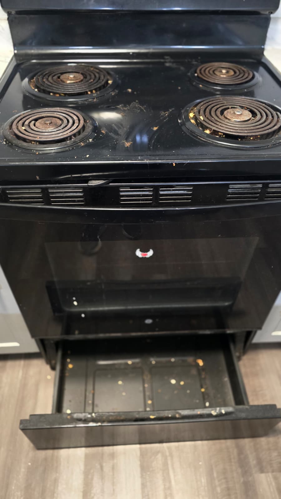 Oven & warming drawer — before cleaning