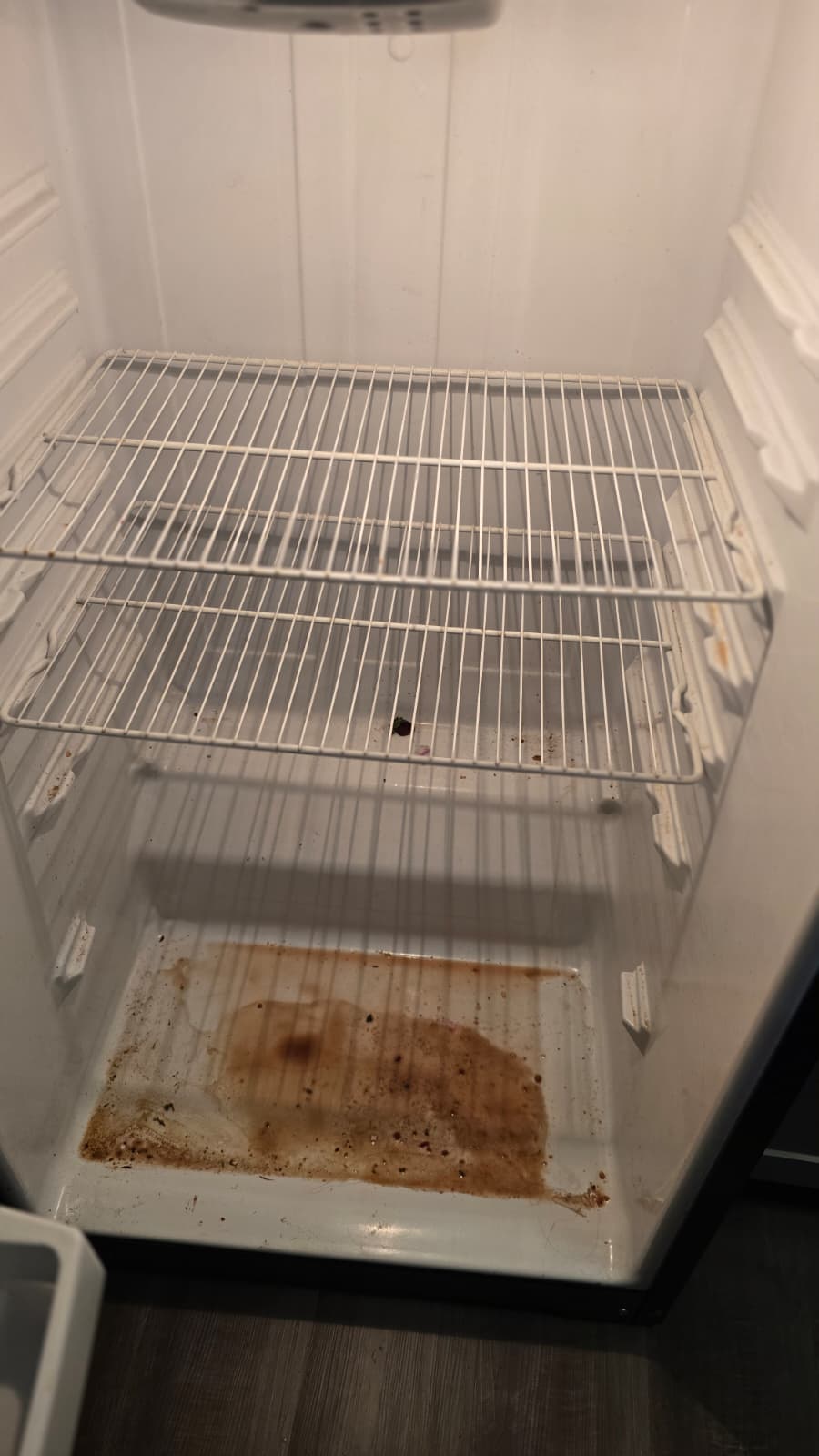 Refrigerator — before cleaning