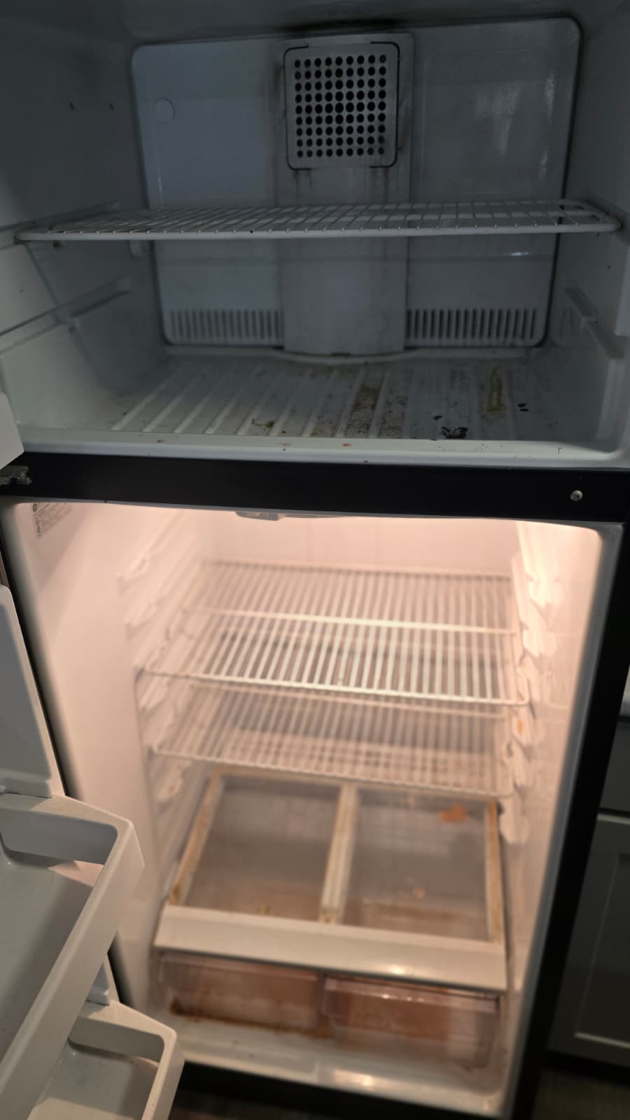 Fridge and freezer, detailed shelf by shelf.