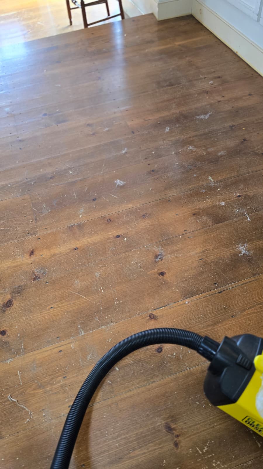 Hardwood floors, dust and lint pulled out.
